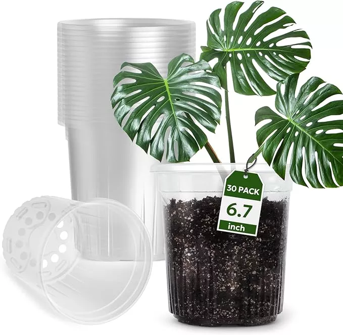 1-gallon-reinforced-clear-nursery-pots-with-drainage-hole-30-packs-6-7-inch-tran 1 Gallon Reinforced Clear Nursery Pots with Drainage Hole, 30 Packs, 6.7 Inch Transparent Pots for Seedlings, Indoor/Outdoor Plants, Veggies, Flowers, and Professional Nursery Use