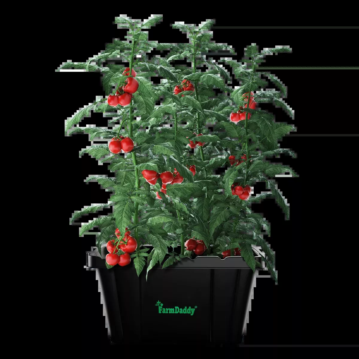 1- Self-Watering Raised Bed -No Accessories