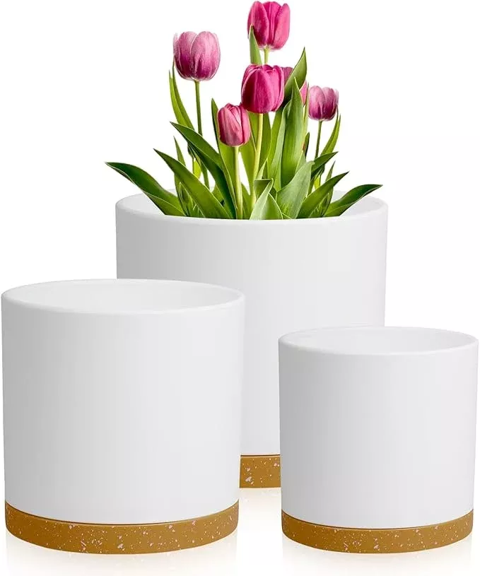 10-8-6-inch-deep-plant-pots-3-pack-cylindrical-large-flower-pots-outdoor-indoor- 10/8/6 inch Deep Plant Pots, 3 Pack Cylindrical Large Flower Pots for Outdoor Indoor Plants, Tall Plastic Planters with Drainage Holes and Saucers for Garden House Plants, White with Brown