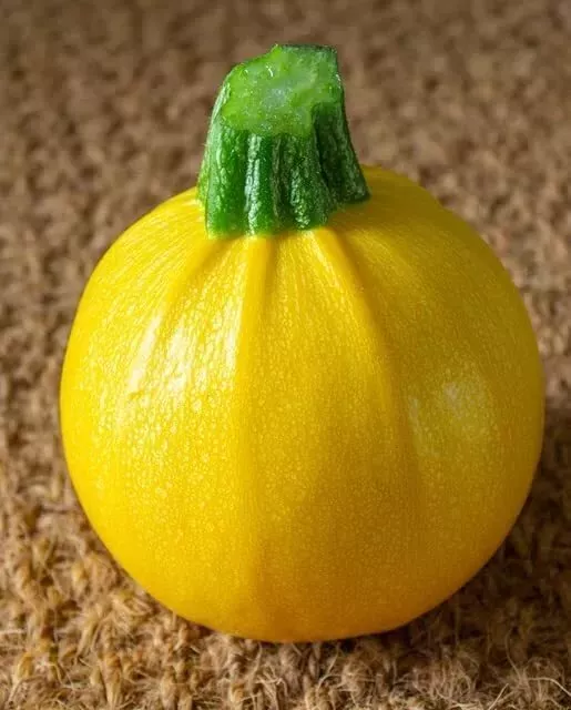 10-ball-squash-seeds-planting-exotic-pool-ball-sized-edible-squash-cucurbita-pep 10 Ball Squash Seeds for Planting, Exotic Pool Ball Sized Edible Squash, Cucurbita pepo