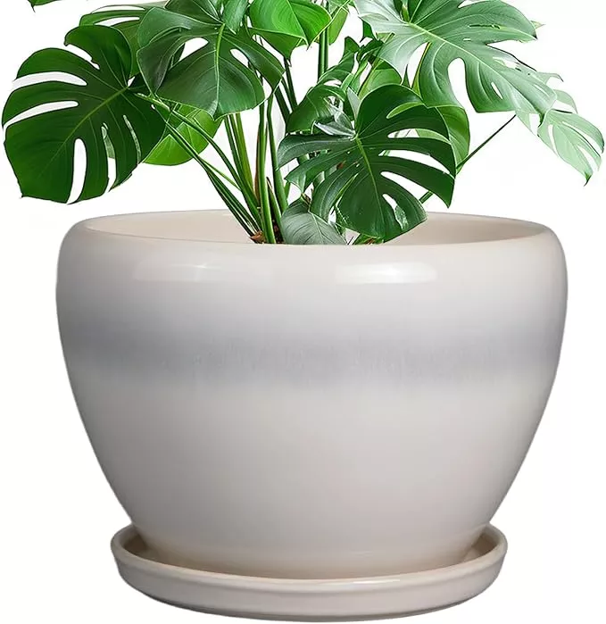 10-inch-ceramic-planter-pot-large-plant-pot-with-drainage-hole-saucer-round-flow 10 Inch Ceramic Planter Pot - Large Plant Pot with Drainage Hole and Saucer Round Flower Pot for Indoor Plants, White