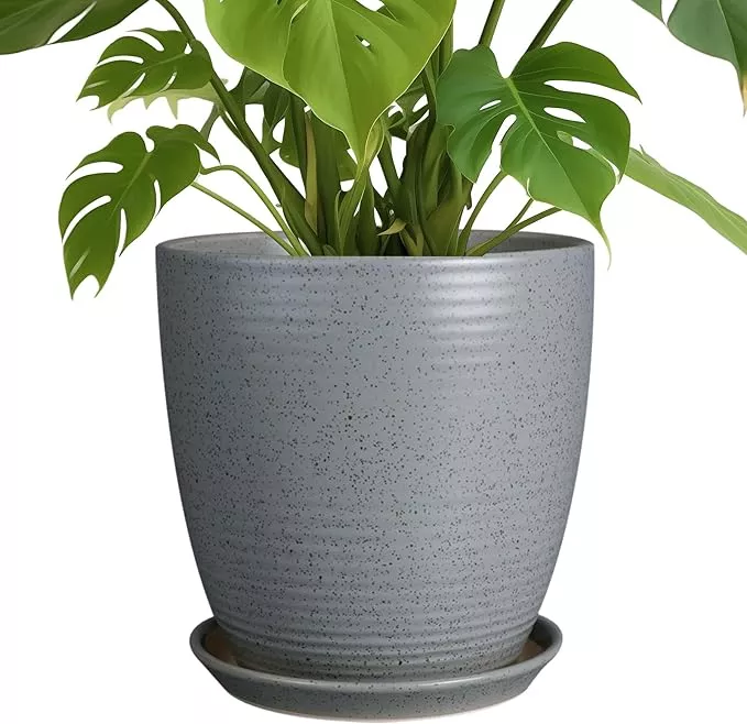 10-inch-plant-pot-ceramic-planters-indoor-plants-with-drainage-saucer-large-flow 10 Inch Plant Pot, Ceramic Planters for Indoor Plants with Drainage and Saucer, Large Flower Pot for Home and Garden Decor, Light Gray