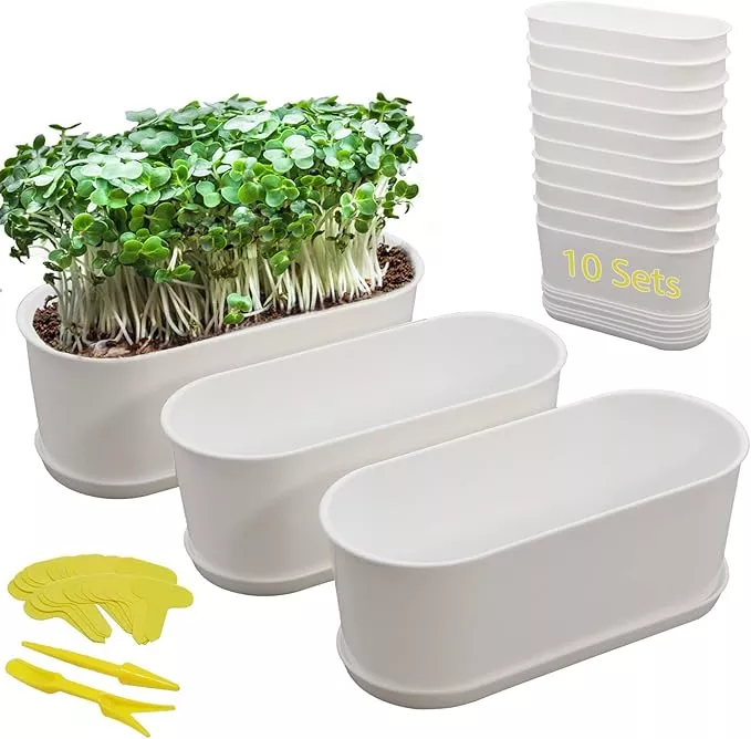 10-pack-herb-planter-with-saucer-plant-window-box-plastic-planter-with-multiple- 10-Pack Herb Planter with Saucer for Plant Window Box, Plastic Planter with Multiple Drainage Holes and Tray for home Garden Succulents Modern Decorative Window Planter Box Flower Pots Gardening Pot