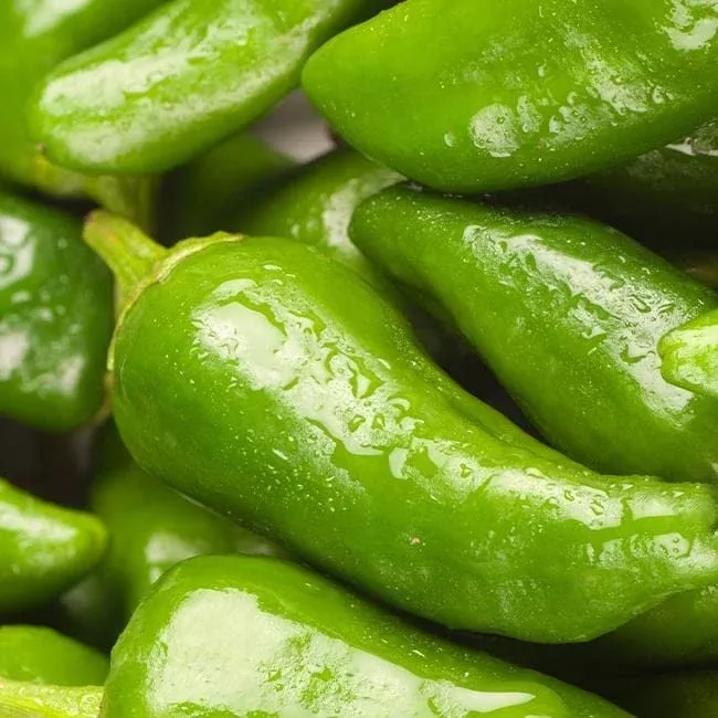 10-seeds-padron-pepper-capsicum-annuum-mild-flavorful-spanish-pepper 10 Seeds Padron Pepper (Capsicum annuum) – Mild, Flavorful Spanish Pepper