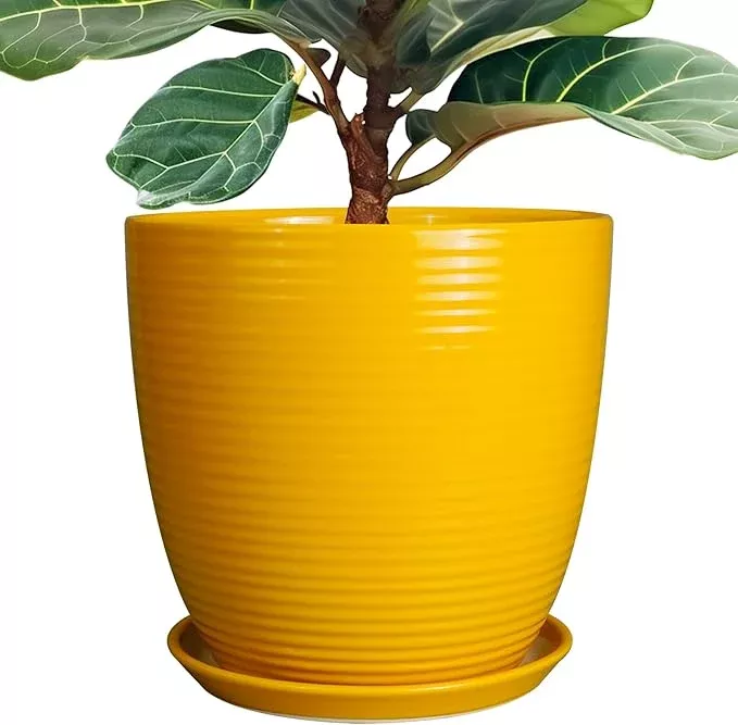 12-inch-pots-plants-ceramic-planter-indoor-plants-large-plant-pot-with-drainage- 12 Inch Pots for Plants - Ceramic Planter for Indoor Plants Large Plant Pot with Drainage Hole and Saucer Round Outdoor Flower Pot for Garden Home Patio Office Yellow