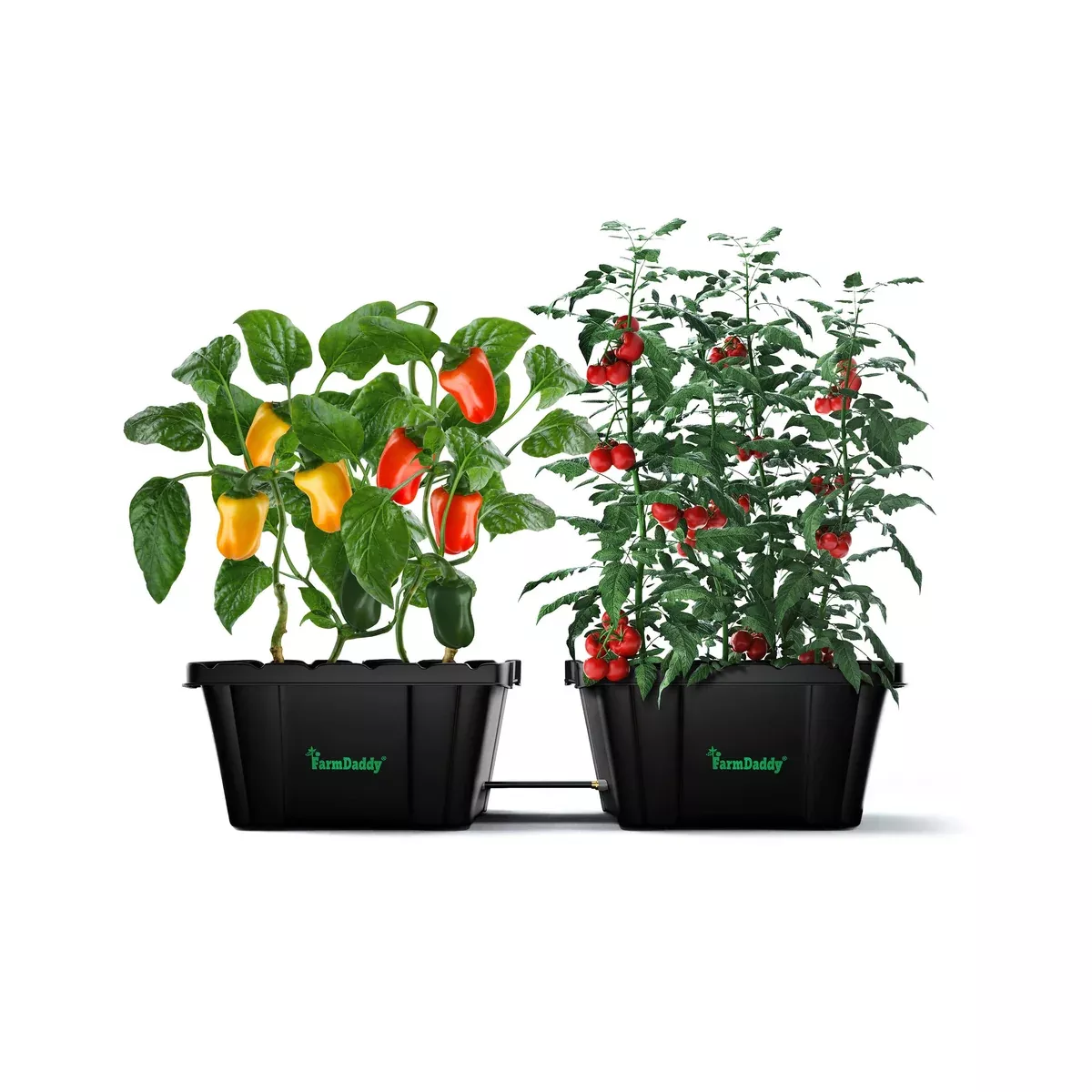 2-self-watering-raised-bed-garden-containers-free-connection-hose-no-other-acces 2 Self-Watering Raised Bed Garden Containers + Free Connection Hose /No other Accessories with this bundle