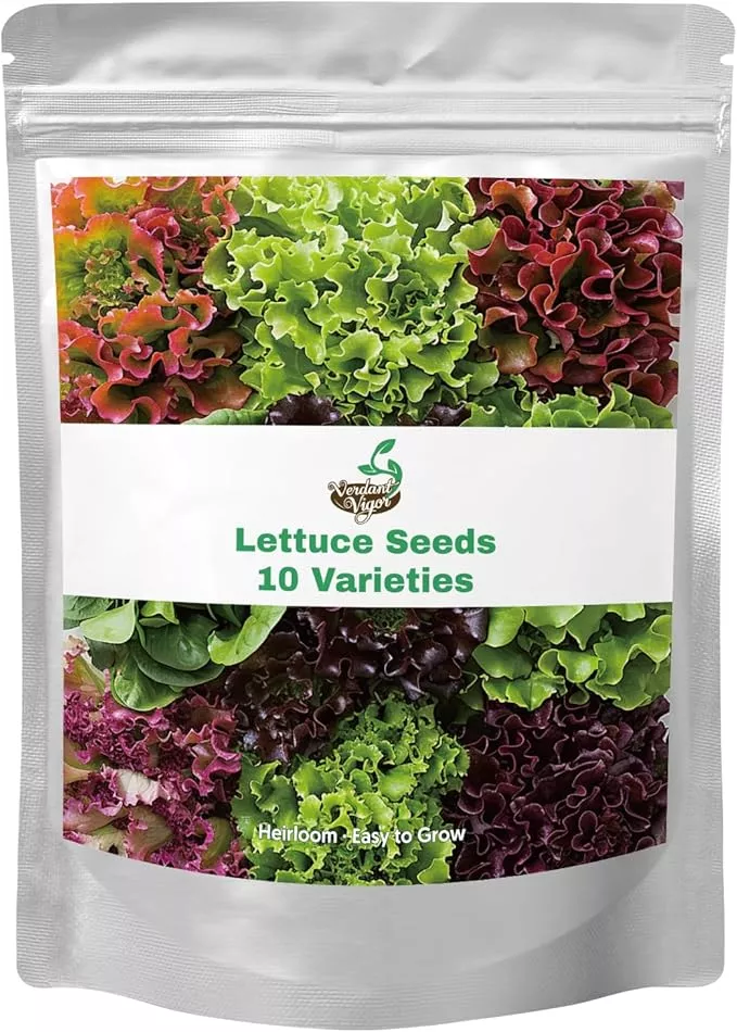 20-000-lettuce-seeds-heirloom-vegetable-seed-planting-indoor-outdoor-10-varietie 20,000+ Lettuce Seeds, Heirloom Vegetable Seed for Planting Indoor Outdoor, 10 Varieties Fresh Lettuce Salad Seeds Garden Hydroponics Kit - Romaine, Iceberg, Boston, Bibb and More, Non-GMO