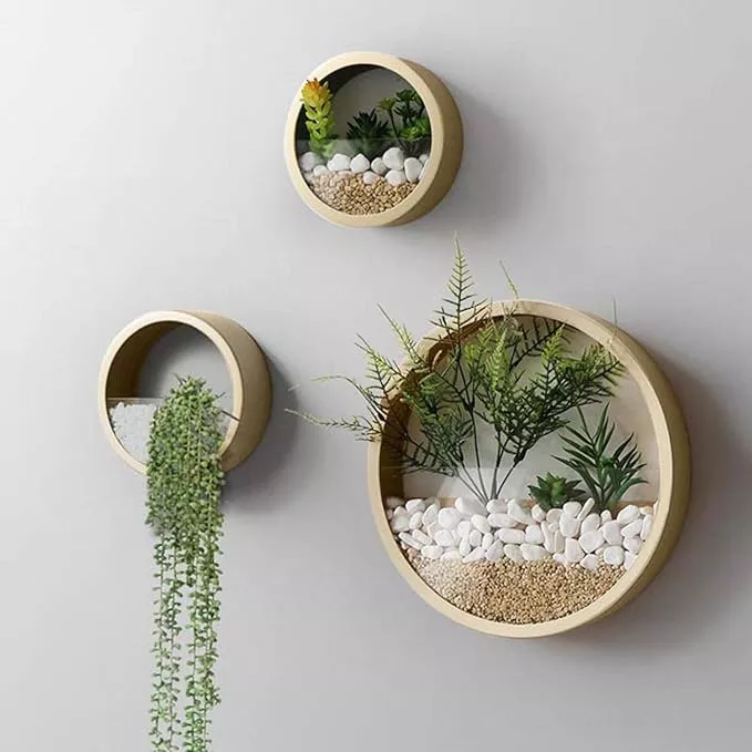 3-pack-set-wall-planters-modern-round-glass-wall-planter-succulent-planter-circl 3 Pack Set Wall Planters,Modern Round Glass Wall Planter Succulent Planter Circle Iron Hanging Planter Vase for Herb,Small Cactus Perfect for Balcony, Room and Patio Decor (Gold)