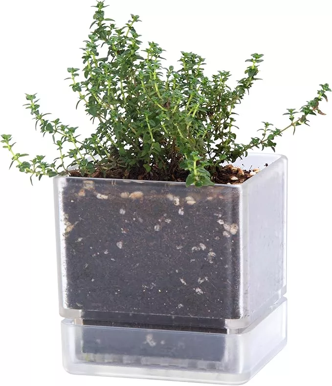 4-inch-herb-planter-pot-plastic-planter-with-drainage-holes-saucer-modern-decora 4 Inch Herb Planter Pot, Plastic Planter with Drainage Holes and Saucer, Modern Decorative Gardening Pot for Indoor Plants, Flowers, Herbs, Succulents, Black, Set of 1, 76-Y-B-1