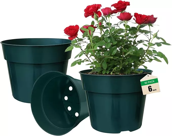 50-pack-6-inch-nursery-pots-planting-grow-plastic-flower-pots-thick-planters-wit 50 Pack 6 Inch Nursery Pots, Planting Grow Plastic Flower Pots, Thick Planters with Drainage Holes for Outdoor/Indoor Plants Succulent Herb (Green)