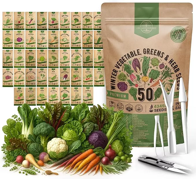 50-winter-vegetable-garden-seeds-variety-pack-43-450-non-gmo-heirloom-seeds-outd 50 Winter Vegetable Garden Seeds Variety Pack - 43,450+ Non-GMO Heirloom Seeds for Outdoors & Indoor Home Gardening, Including Kohlrabi, Lettuce, Radish, Onion, Choy, Spinach, Cauliflower, Collards