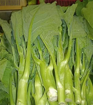 500mg-chinese-broccoli-kailaan-seeds-open-pollinated-asian-green-heirloom-non-gm 500mg Chinese Broccoli Kailaan Seeds - Open Pollinated Asian Green - Heirloom Non-GMO for Stir-Fries, Soups, & Garden Veggies