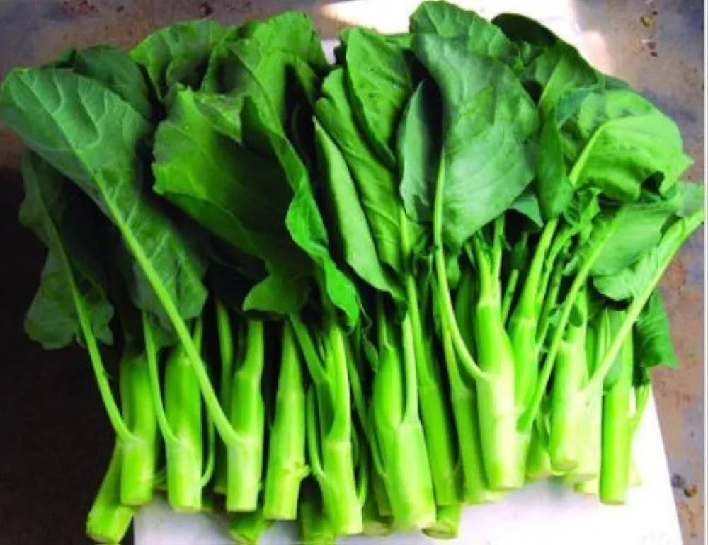 500mg-wan-shen-kailan-seeds-heirloom-chinese-broccoli-tender-asian-green-stir-fr 500mg Wan Shen Kailan Seeds - Heirloom Chinese Broccoli - Tender Asian Green for Stir-Fries, Soups, & Salads - Non-GMO Seeds
