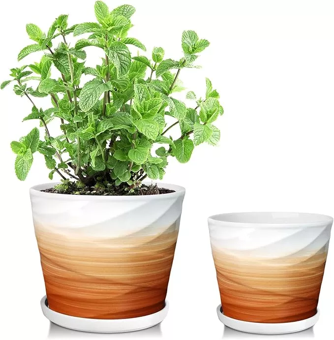 6-7-5-5-inch-plant-pot-ceramic-planter-with-drainage-saucer-ceramic-pots-plants- 6.7 + 5.5 Inch Plant Pot, Ceramic Planter with Drainage and Saucer, Ceramic Pots for Plants, Indoor Plant pots,Succulent Pot Orchid Pots(Smooth White,Plant Pot Only)