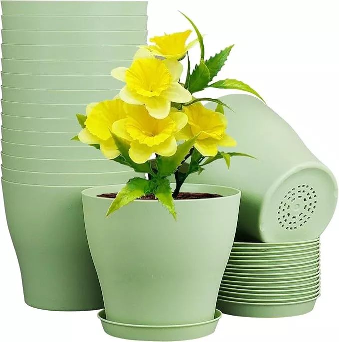 6 inch Plastic Nursery Pots, Seedling Pots, 16 Pack Plant Pots for Small Indoor Outdoor Plants, Flower Pots with Drainage Holes and Saucers, Decorative Planters for House Plants, Colorful