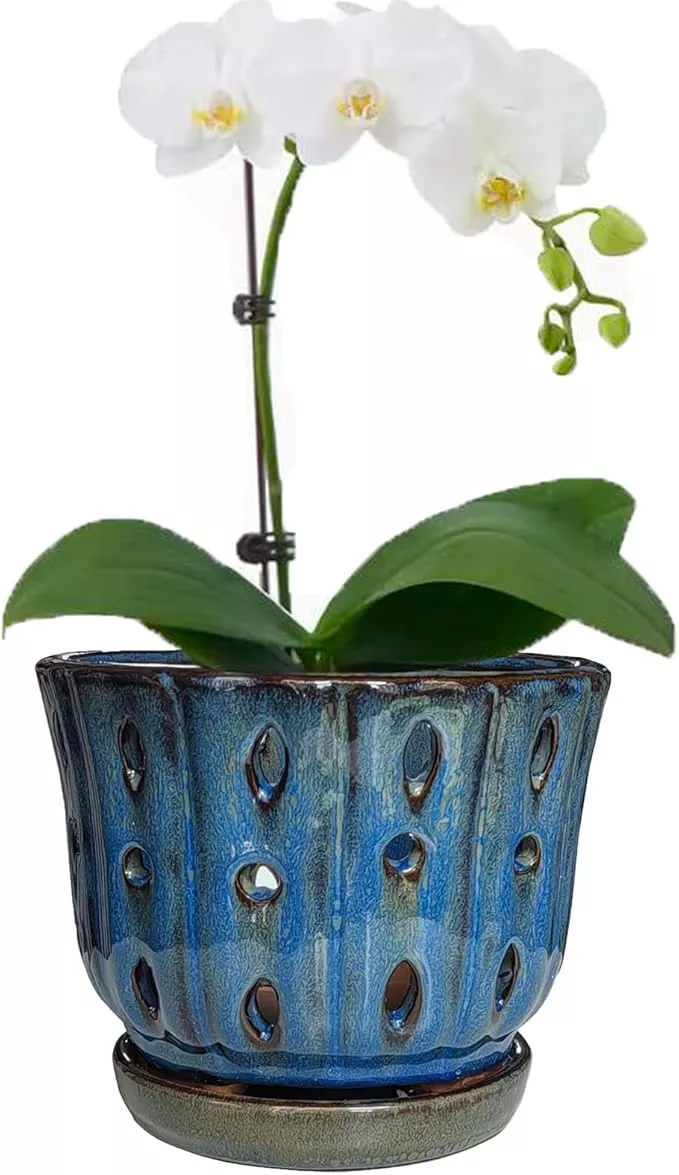 6-inch-round-ceramic-orchid-pot-with-holes-orchid-planter-dark-blue 6 inch Round Ceramic Orchid Pot with Holes Orchid Planter (Dark Blue)