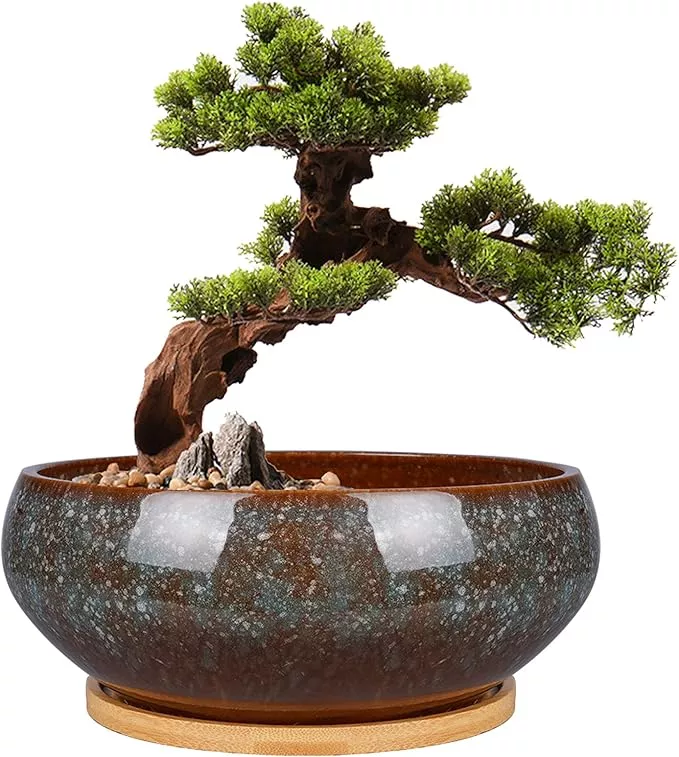 8-inch-ceramic-bonsai-planter-pot-glazed-shallow-succulent-planter-with-drainage 8 Inch Ceramic Bonsai Planter Pot, Glazed Shallow Succulent Planter with Drainage Hole and Bamboo Saucer for Indoor Plants, Green