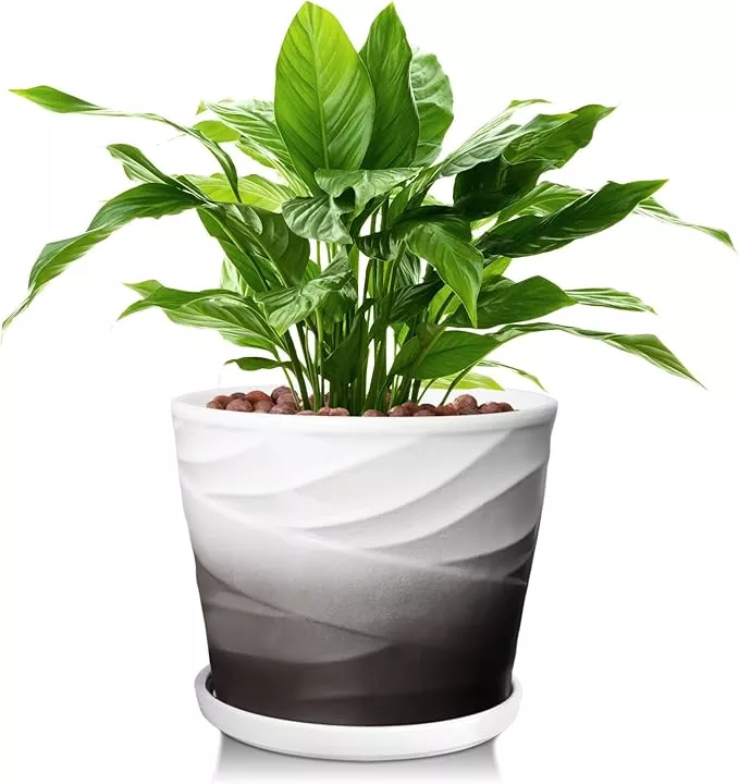 8-inch-indoor-plant-pot-with-drainage-holes-saucers-ceramic-planter-plants-succu 8 Inch Indoor Plant Pot with Drainage Holes and Saucers, Ceramic Planter for Plants, Succulent Orchid Flower Pots(Dark Gray+White)