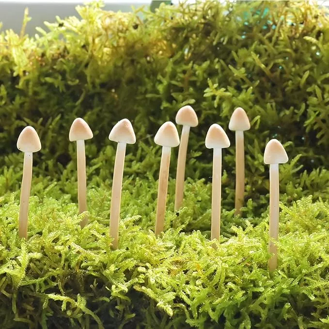 8-pack-clay-mushrooms-mini-fake-mushrooms-handmade-small-mushroom-diy-miniature- 8-Pack Clay Mushrooms,Mini Fake Mushrooms,Handmade Small Mushroom,DIY Miniature Landscape Accessories,Miniature Fairy Garden Supplies,Desktop Miniature Ornaments,Christmas Decorations.