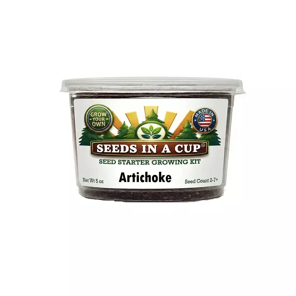 artichoke-grow-kit-grow-fresh-artichoke-from-seed-seeds-in-cup Artichoke Grow Kit | Grow Fresh Artichoke from Seed | Seeds In A Cup