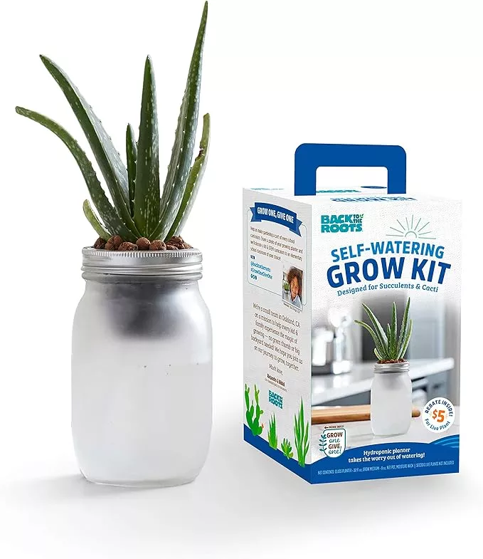 back-to-roots-self-watering-grow-kit-glass-hydroponic-planters-succulents-cacti- Back to the Roots Self Watering Grow Kit - Glass Hydroponic Planters for Succulents and Cacti - Hassle-Free Self-Watering System