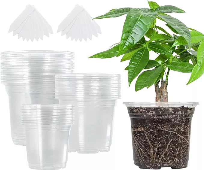 bonviee-36-packs-3-5-4-5-inch-clear-nursery-pots-transparent-plastic-planter-wit Bonviee 36 Packs 3.5/4/5 Inch Clear Nursery Pots, Transparent Plastic Planter with Drainage Holes, Seed Starting Pot Flower Plant Container -Clear