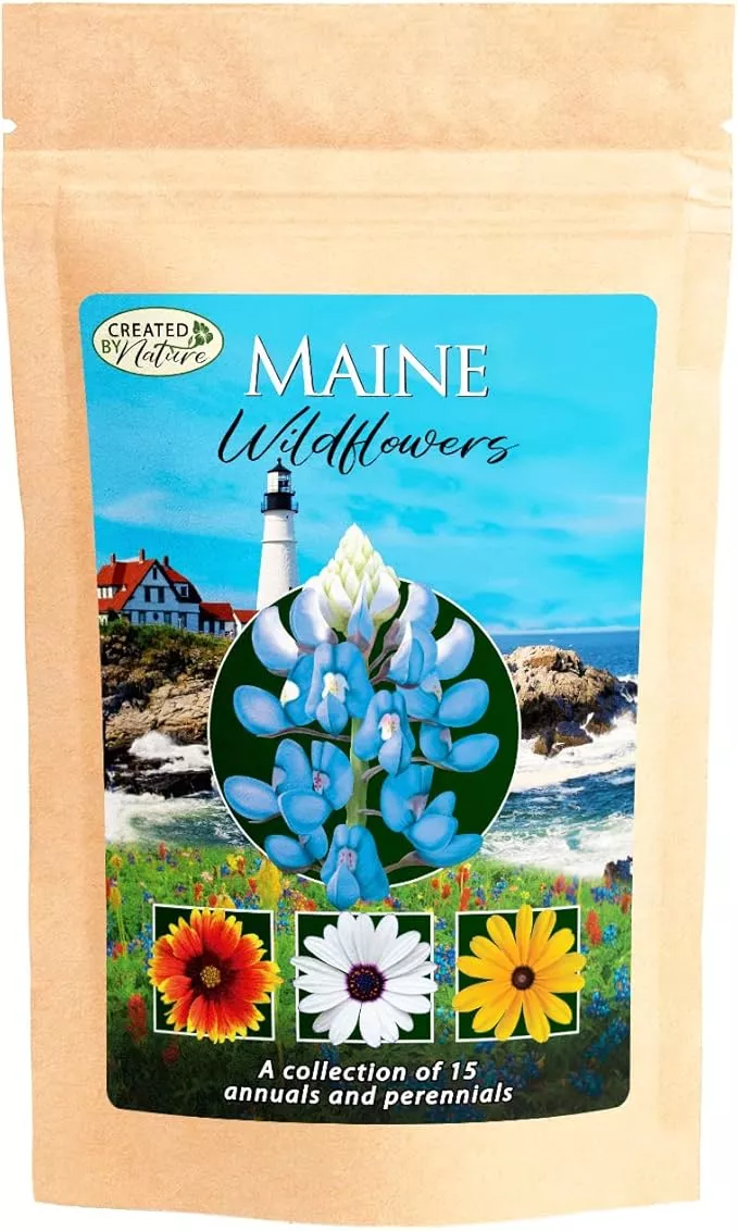 created-by-nature-maine-wildflower-state-mix-15-flower-varieties-50-000-seeds Created By Nature Maine Wildflower State Mix, 15 Flower Varieties, 50,000 Seeds
