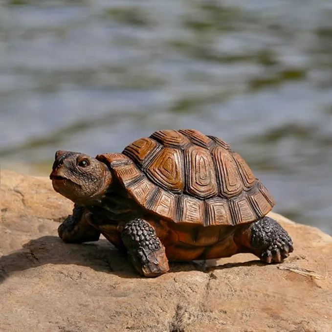 danmu-1pc-polyresin-tortoise-statue-garden-statues-outdoor-statues-garden-orname Danmu 1Pc of Polyresin Tortoise Statue Garden Statues, Outdoor Statues, Garden Ornaments, Yard Statue for Home and Fairy Garden Decor (S 5 1/10" x 4 1/3" x 2 1/3")