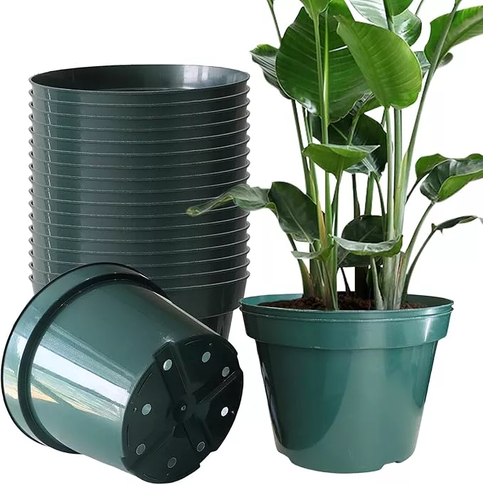 daperci-rootrimmer-8-inches-nursery-pot-plant-grow-sturdy-flower-pots-in-bulk-pr DAPERCI RooTrimmer 8 inches Nursery Pot Plant Grow Sturdy Flower pots in Bulk Price 20P