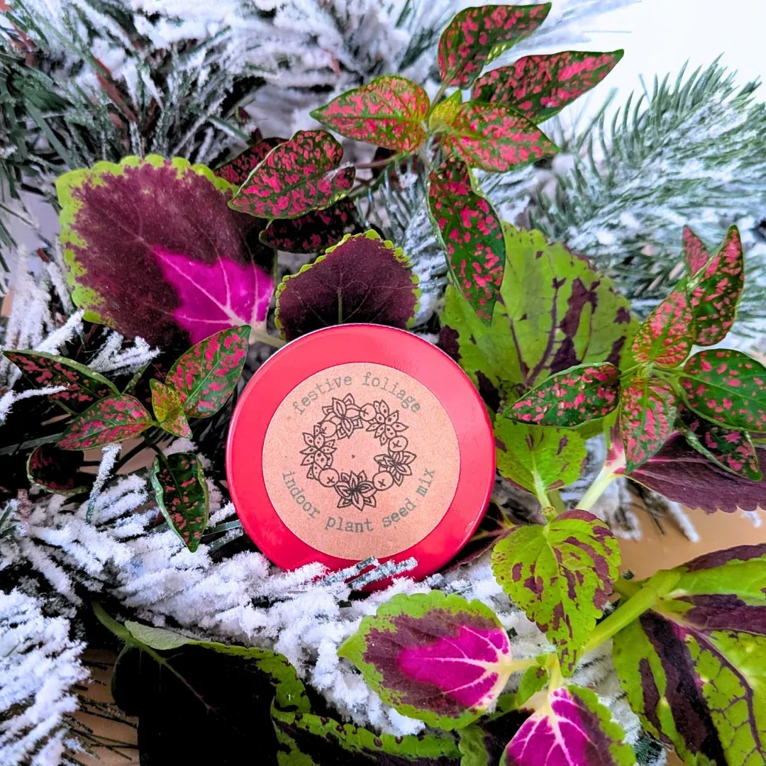 festive-foliage-seed-mix "Festive Foliage" Seed Mix