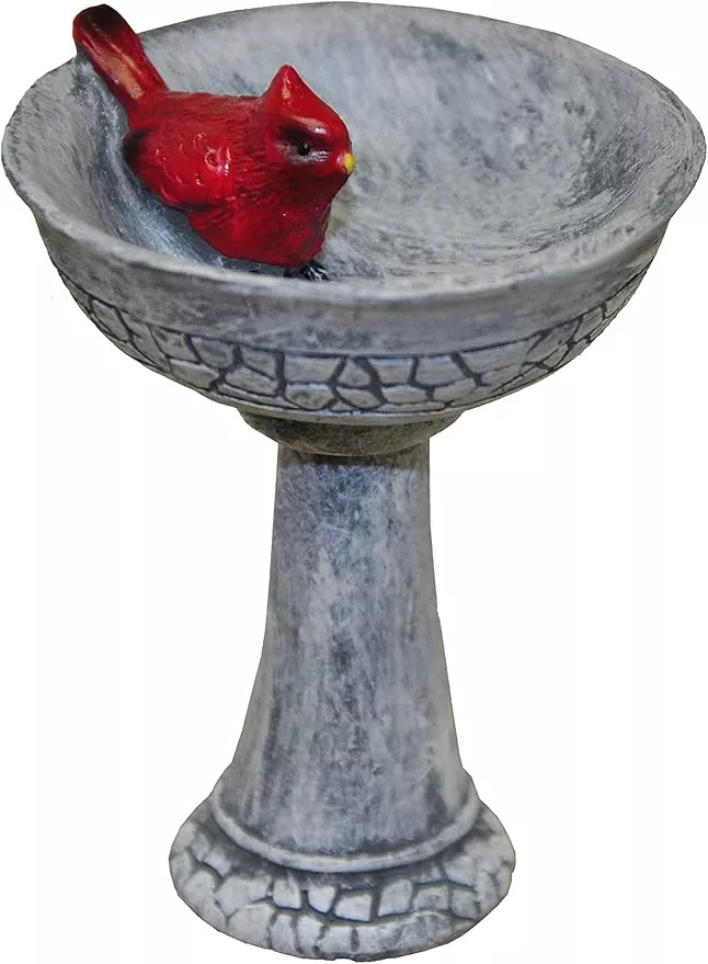 g-f-products-minigardenn-10027-fairy-garden-polyresin-miniature-cardinal-birdbat G & F Products MiniGardenn 10027 Fairy Garden Polyresin Miniature, Cardinal Birdbath Pick