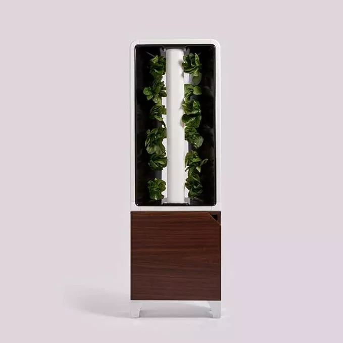 just-vertical-eve-indoor-hydroponic-garden-modern-furniture-style-vertical-plant Just Vertical EVE Indoor Hydroponic Garden | Modern Furniture-Style Vertical Planter | Grow 12 Fresh Herbs & Vegetables Year-Round | Self-Watering, Energy-Efficient LED, Compact Design