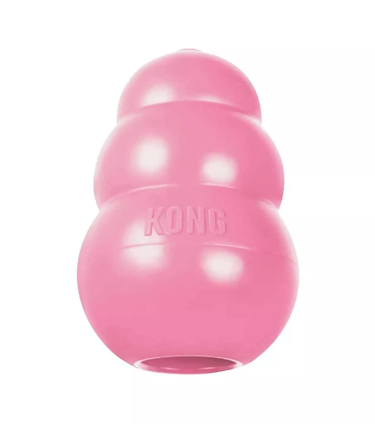 kong-assorted-puppy-toy Kong, Assorted Puppy Toy