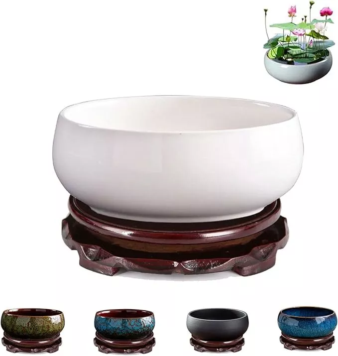 lotus-bowl-planter-lotus-bowls-planting-in-water-indoors-6-5-inch-round-succulen Lotus Bowl Planter, Lotus Bowls for Planting in Water Indoors,6.5-inch Round Succulent Flower Pot with Rotating Bracket, Leak-Proof Design, Suitable for hydroponic Plants, Succulents (Blue)