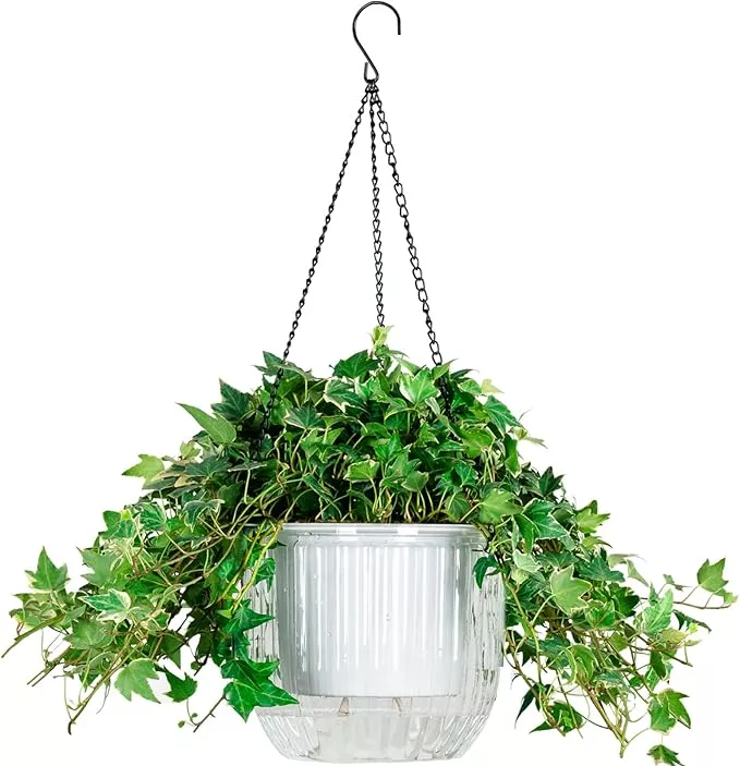 melphoe-1-pack-self-watering-hanging-planters-indoor-flower-pots-8-3-inch-outdoo Melphoe 1 Pack Self Watering Hanging Planters Indoor Flower Pots, 8.3 Inch Outdoor Hanging Plant Pot Basket, Plant Hanger with 3Hooks Drainage Holes for Garden Home