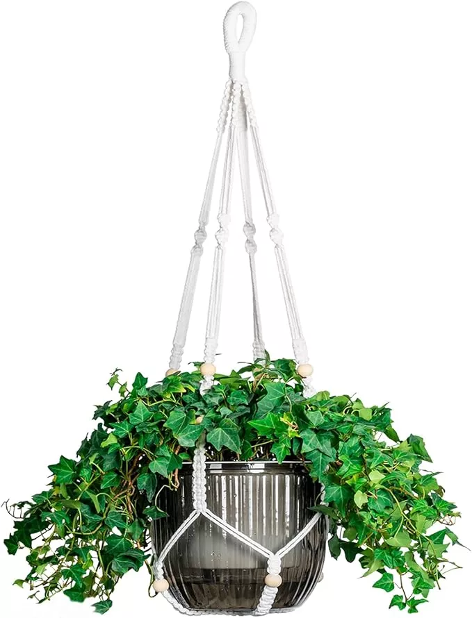 melphoe-self-watering-hanging-planters-indoor-1-pack-8-3-inch-outdoor-hanging-pl Melphoe Self Watering Hanging Planters for Indoor, 1 Pack 8.3 Inch Outdoor Hanging Plant Pot Basket, 2 Kinds of Plant Hangers Macrame 35.5’’ & Metal Chain 19.6’’ for Garden Home Decor