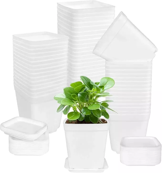 ojyudd-72-pcs-3-inch-white-square-plastic-pots-with-saucer-white-plastic-plant-s OJYUDD 72 Pcs 3 Inch White Square Plastic Pots with Saucer,White Plastic Plant Seedling Pots,Seedling Nursery Pots Indoor Outdoor for Succulents/Plant,Garden,Office and Balcony Decor