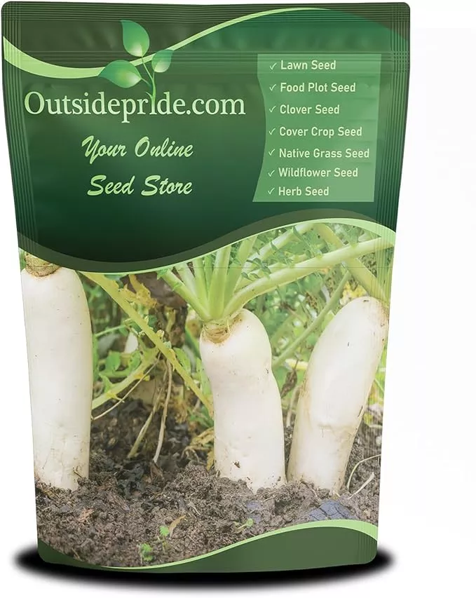 outsidepride-annual-daikon-radish-seeds-1-lb-chinese-japanese-oriental-radish-se Outsidepride Annual Daikon Radish Seeds - 1 lb. Chinese, Japanese, & Oriental Radish Seeds for Soil Health, Erosion Control, & Soil Aeration - Ideal for Gardens, Cover Crops, Pastures, & Food Plots