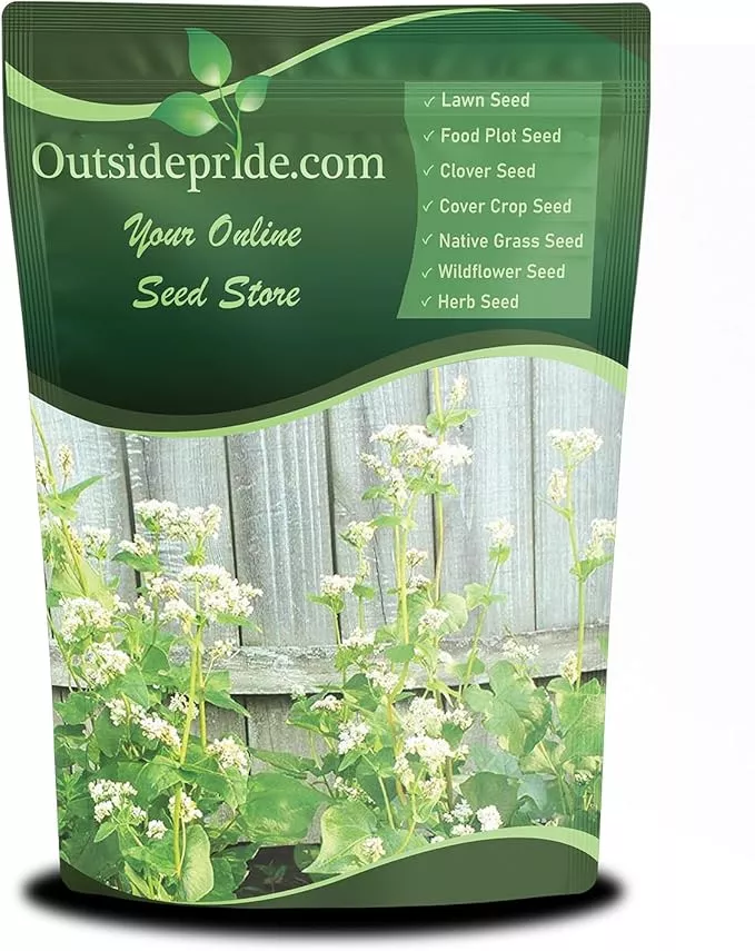 outsidepride-buckwheat-seeds-20lbs-annual-fast-growing-easy-to-grow-buckwheat-co Outsidepride Buckwheat Seeds - 20lbs Annual, Fast-Growing, Easy to Grow Buckwheat Cover Crop Seeds for Green Manure, Bee Pasture & Pollinators, Wildlife Habitat, Soil Improvement, and Erosion Control