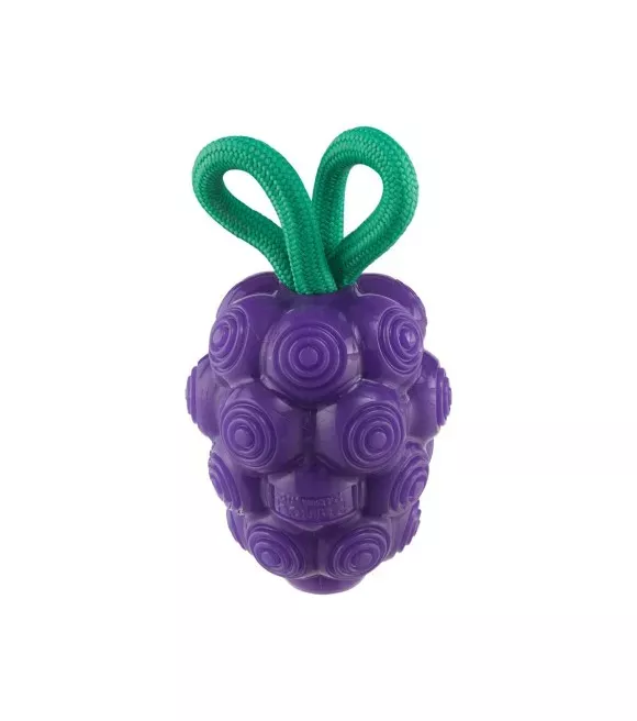 outward-hound-dental-grape-dog-chew-toy Outward Hound, Dental Grape Dog Chew Toy
