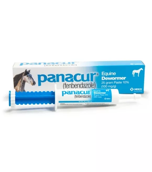 panacur-equine-dewormer-paste-25-gm PANACUR, Equine Dewormer Paste, 25 gm