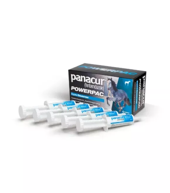 Panacur, PowerPac Equine Horse Dewormer, 5 pk