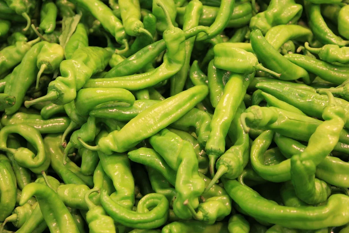 pepperoncini-italian-sweet-pepper-seeds-250mg-planting-heirloom-variety-mild-tan Pepperoncini Italian Sweet Pepper Seeds – 250mg for Planting, Heirloom Variety, Mild & Tangy, High Yield, Great for Pickling Salads