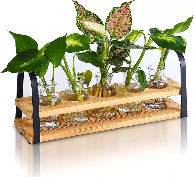 plant-propagation-stations-with-wood-stand-desktop-plant-terrarium-propagating-h Plant Propagation Stations with Wood Stand, Desktop Plant Terrarium for Propagating Hydroponic, Flower Vase for Home Kitchen Office Decor, Plant Lover Gifts