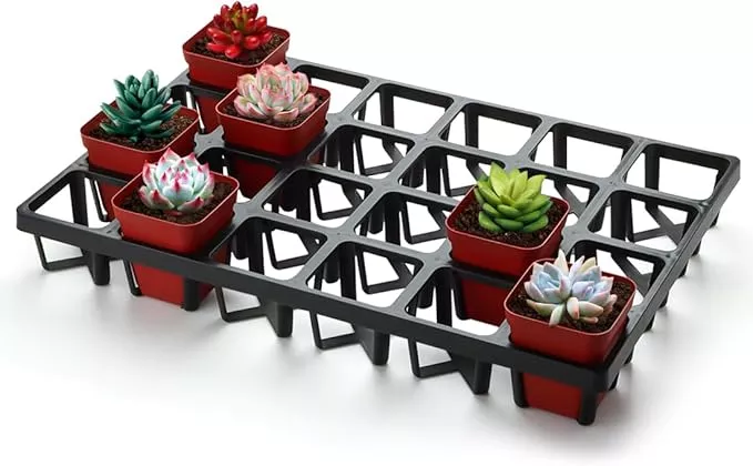 square-nursery-pot-tray-with-24-cells-5-pack-plant-trays-pots-flower-pot-moving- Square Nursery Pot Tray with 24 Cells, 5 Pack Plant Trays for Pots, Flower Pot Moving Tray, Plastic Planting Tray for Carrying Small Plant Pots(120 Cells in Total