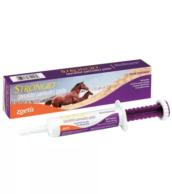 strongid-paste-20-ml Strongid Paste, 20 ml