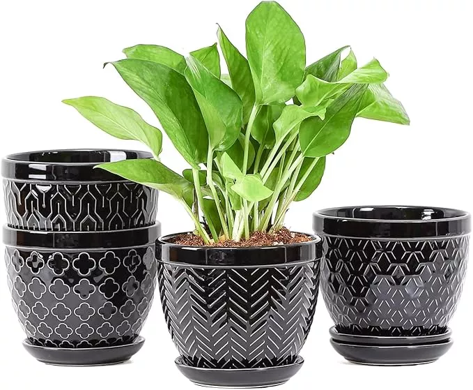 sureasy-ceramic-indoor-plant-pots-5-6-inch-flower-pots-plants-with-drainage-hole Sureasy Ceramic Indoor Plant Pots - 5.6 Inch Flower Pots for Plants with Drainage Hole and Saucer, Embossed Planter for Succulents, Orchid, Cactus, Indoor Home Decor, Set of 4, White