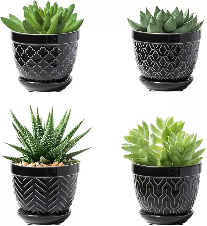 sureasy-succulent-pots-3-5-inch-flower-pots-indoor-plants-small-plant-pots-with- Sureasy Succulent Pots, 3.5 Inch Flower Pots for Indoor Plants, Small Plant Pots with Saucer & Drainage, Decorative Ceramic Planters for Succulent, Cactus, Set of 4, White