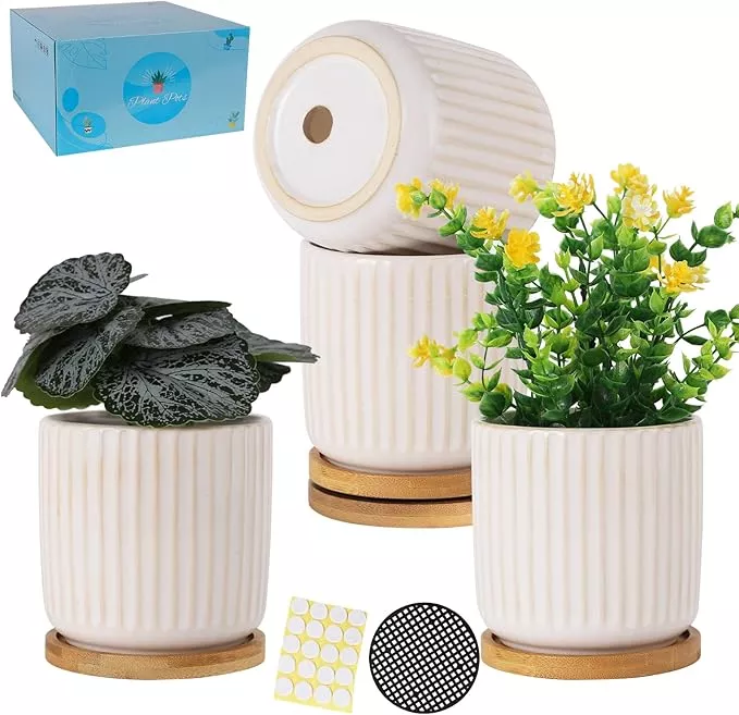 tamaykim-4-inch-ceramic-plant-pots-with-drainage-holes-modern-flower-planter-wit TAMAYKIM 4 Inch Ceramic Plant Pots with Drainage Holes, Modern Flower Planter with Saucer for Indoor Plants, Succulent, Cactus & Herbs, Beige, Set of 4 (Plants Not Included)