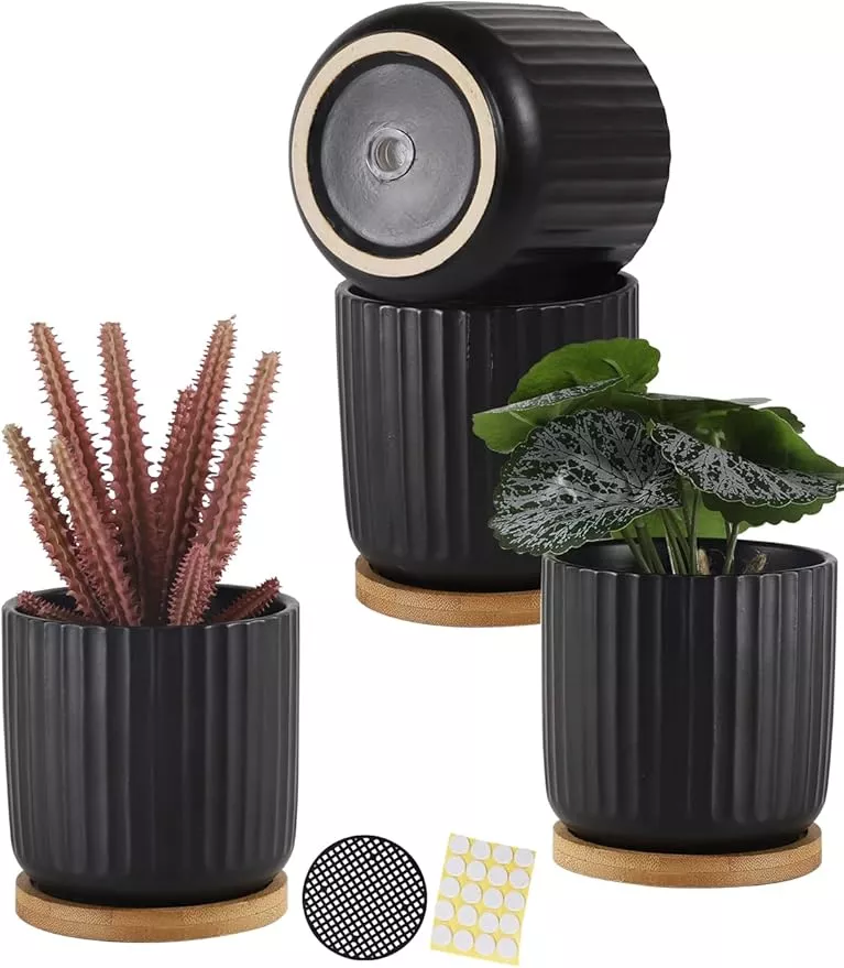 tamaykim-4-inch-small-cylinder-ceramic-plant-pots-with-drainage-holes-modern-ind TAMAYKIM 4 Inch Small Cylinder Ceramic Plant Pots with Drainage Holes, Modern Indoor Planters with Tray for Aloe, Succulent, Snake Plants, Cactus & Herbs, Black, Set of 4